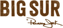 Big Sur logo